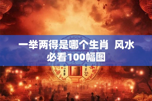 一举两得是哪个生肖  风水必看100幅图