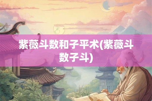 紫薇斗数和子平术(紫薇斗数子斗)