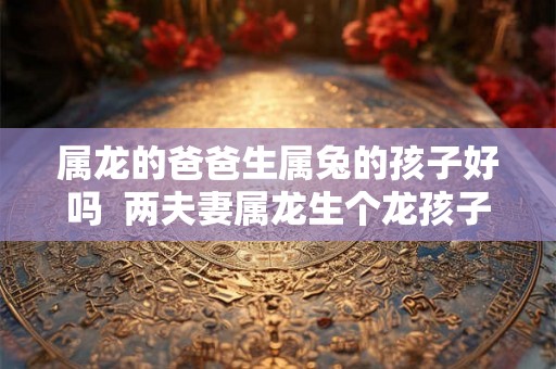 属龙的爸爸生属兔的孩子好吗  两夫妻属龙生个龙孩子好吗