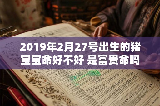 2019年2月27号出生的猪宝宝命好不好 是富贵命吗 2019年2月27号出生的猪宝宝命好不好 是富贵命吗