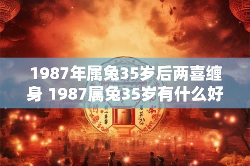 1987年属兔35岁后两喜缠身 1987属兔35岁有什么好运