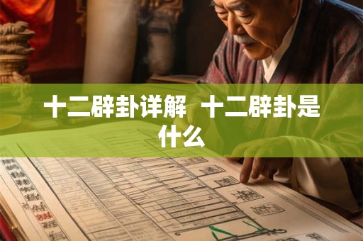 十二辟卦详解  十二辟卦是什么