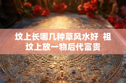坟上长哪几种草风水好  祖坟上放一物后代富贵