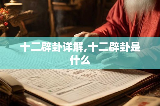 十二辟卦详解,十二辟卦是什么