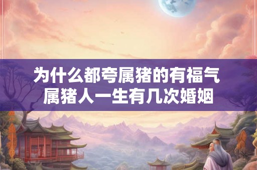 为什么都夸属猪的有福气 属猪人一生有几次婚姻 为什么都夸属猪的有福气 属猪人一生有几次婚姻