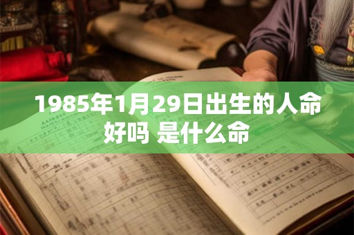 1985年1月29日出生的人命好吗 是什么命 1985年1月29日出生的人命好吗 是什么命