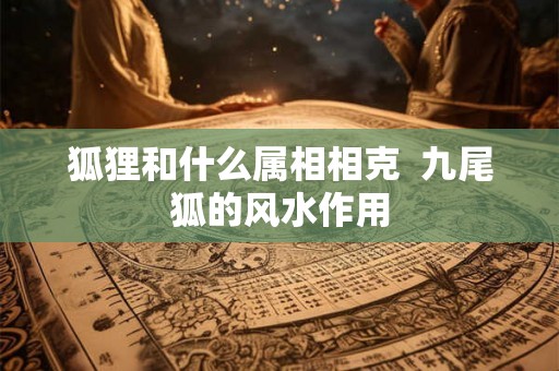 狐狸和什么属相相克  九尾狐的风水作用