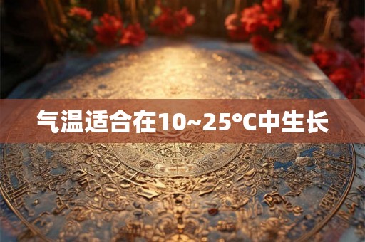 气温适合在10~25℃中生长