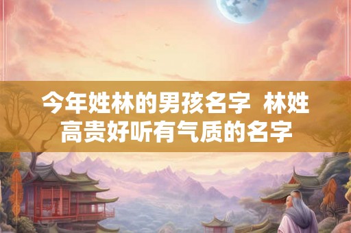 今年姓林的男孩名字  林姓高贵好听有气质的名字