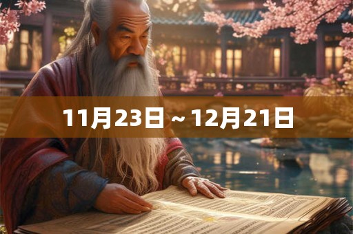 11月23日～12月21日