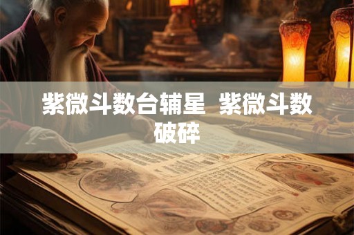 紫微斗数台辅星  紫微斗数破碎