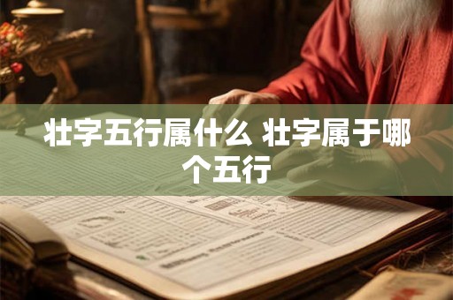 壮字五行属什么 壮字属于哪个五行 壮字五行属什么 壮字属于哪个五行