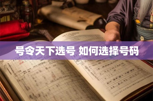 号令天下选号 如何选择号码