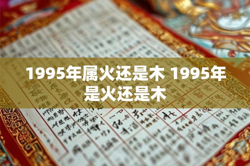 1995年属火还是木 1995年是火还是木