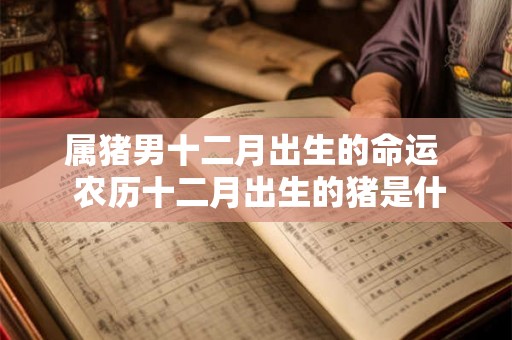 属猪男十二月出生的命运  农历十二月出生的猪是什么命