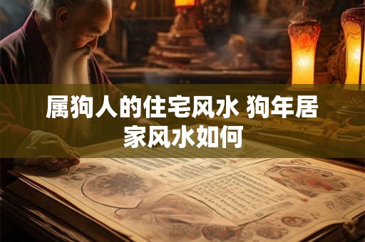 属狗人的住宅风水 狗年居家风水如何