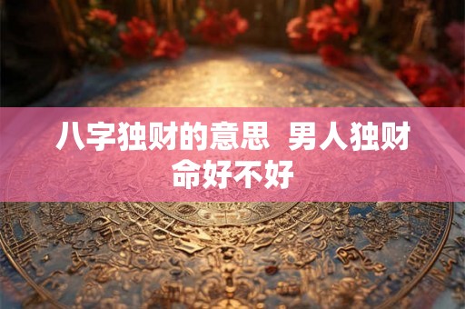 八字独财的意思  男人独财命好不好