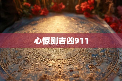 心惊测吉凶911 心惊测吉凶911