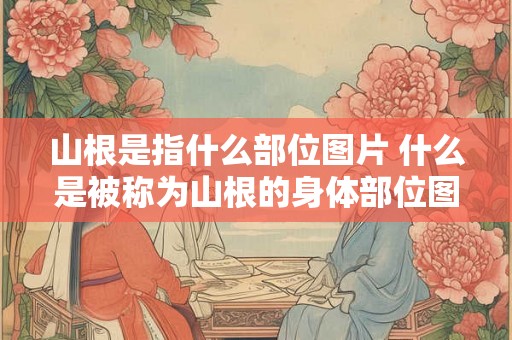 山根是指什么部位图片 什么是被称为山根的身体部位图片解析