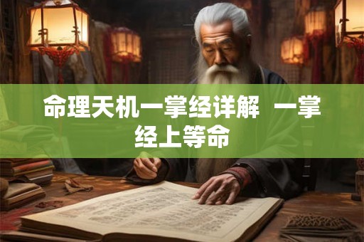 命理天机一掌经详解  一掌经上等命