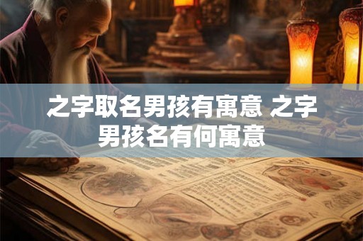 之字取名男孩有寓意 之字男孩名有何寓意