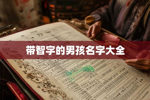 带智字的男孩名字大全