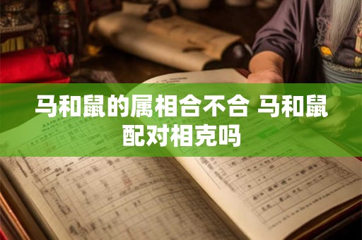 马和鼠的属相合不合 马和鼠配对相克吗 马和鼠的属相合不合 马和鼠配对相克吗