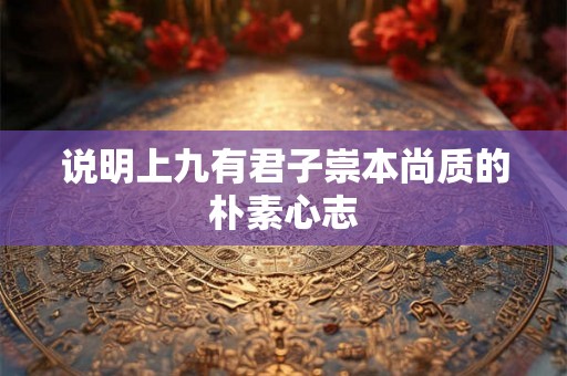 说明上九有君子崇本尚质的朴素心志