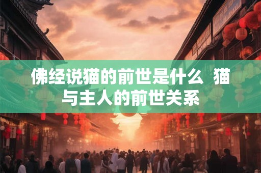 佛经说猫的前世是什么  猫与主人的前世关系