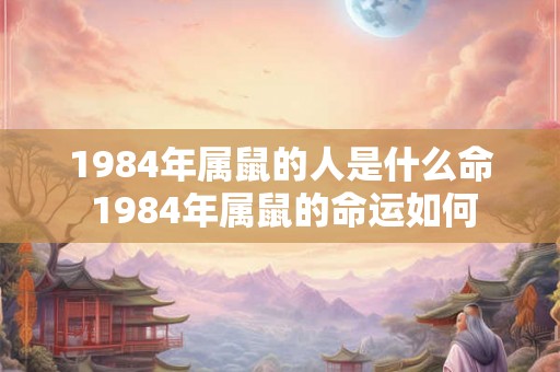 1984年属鼠的人是什么命 1984年属鼠的命运如何 1984年属鼠的人是什么命 1984年属鼠的命运如何