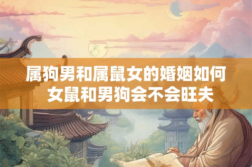 属狗男和属鼠女的婚姻如何  女鼠和男狗会不会旺夫