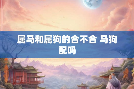 属马和属狗的合不合 马狗配吗