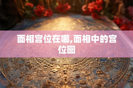 面相宫位在哪,面相中的宫位图