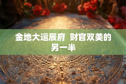 金地大运辰府 财官双美的另一半 金地大运辰府 财官双美的另一半