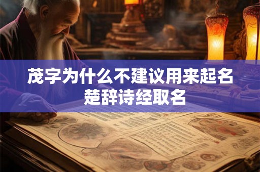 茂字为什么不建议用来起名 楚辞诗经取名 茂字为什么不建议用来起名 楚辞诗经取名