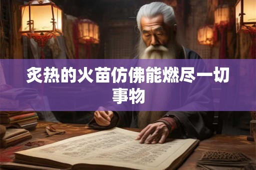 炙热的火苗仿佛能燃尽一切事物 炙热的火苗仿佛能燃尽一切事物