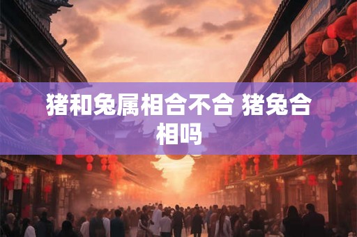 猪和兔属相合不合 猪兔合相吗