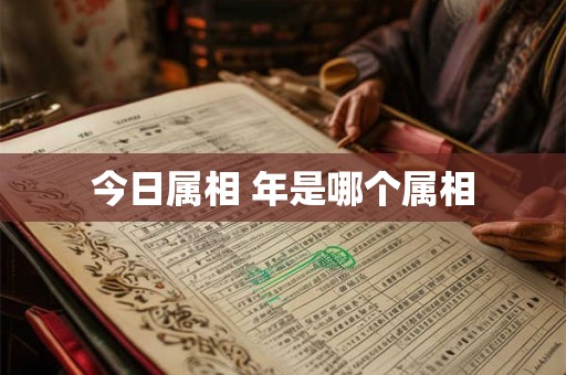 今日属相 年是哪个属相