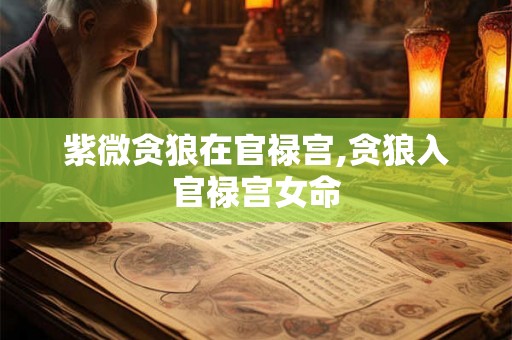 紫微贪狼在官禄宫,贪狼入官禄宫女命 紫微贪狼在官禄宫,贪狼入官禄宫女命