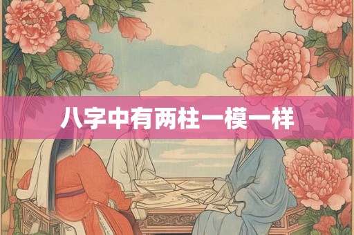八字中有两柱一模一样