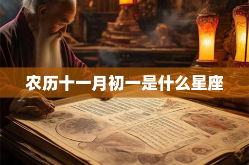 农历十一月初一是什么星座