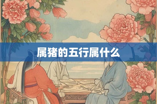 属猪的五行属什么