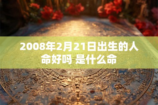 2008年2月21日出生的人命好吗 是什么命