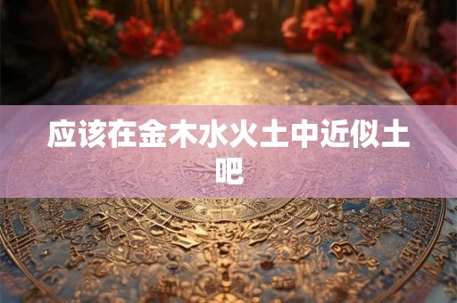 应该在金木水火土中近似土吧