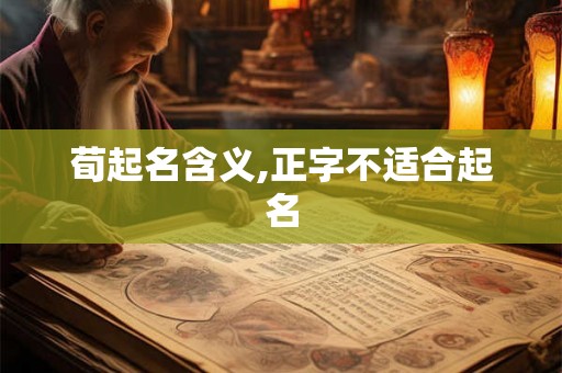 荀起名含义,正字不适合起名