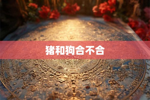 猪和狗合不合