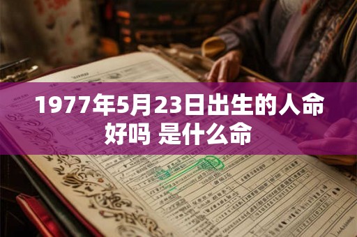 1977年5月23日出生的人命好吗 是什么命