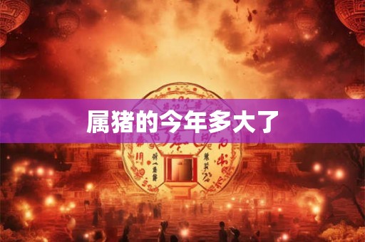 属猪的今年多大了