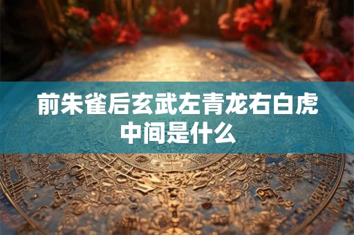 前朱雀后玄武左青龙右白虎中间是什么 前朱雀后玄武左青龙右白虎中间是什么