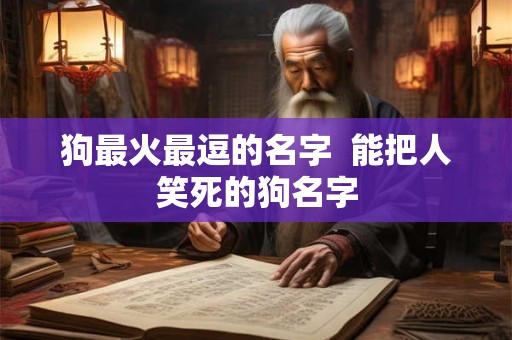 狗最火最逗的名字 能把人笑死的狗名字 狗最火最逗的名字 能把人笑死的狗名字